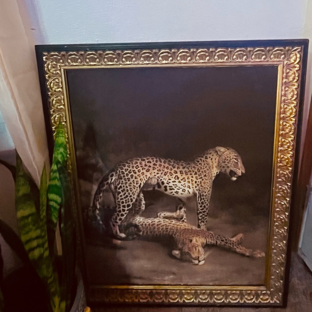 Two Leopards Lying in the Exeter Exchange by Jacques-Laurent Agasse Reproduction